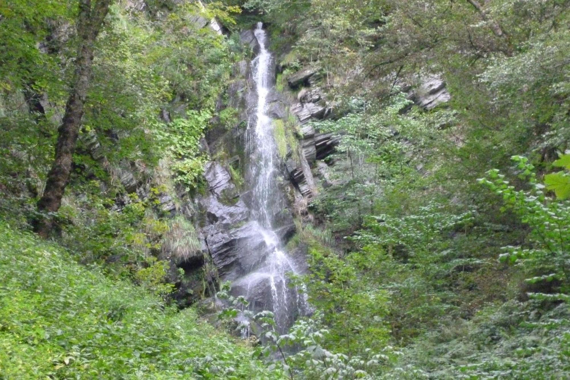 בסטוויג Ferienhaus Wasserfall מראה חיצוני תמונה